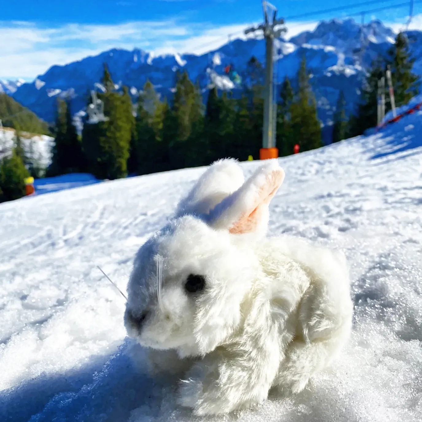 Hase-Kuscheltier-Plüschtier-Stofftier